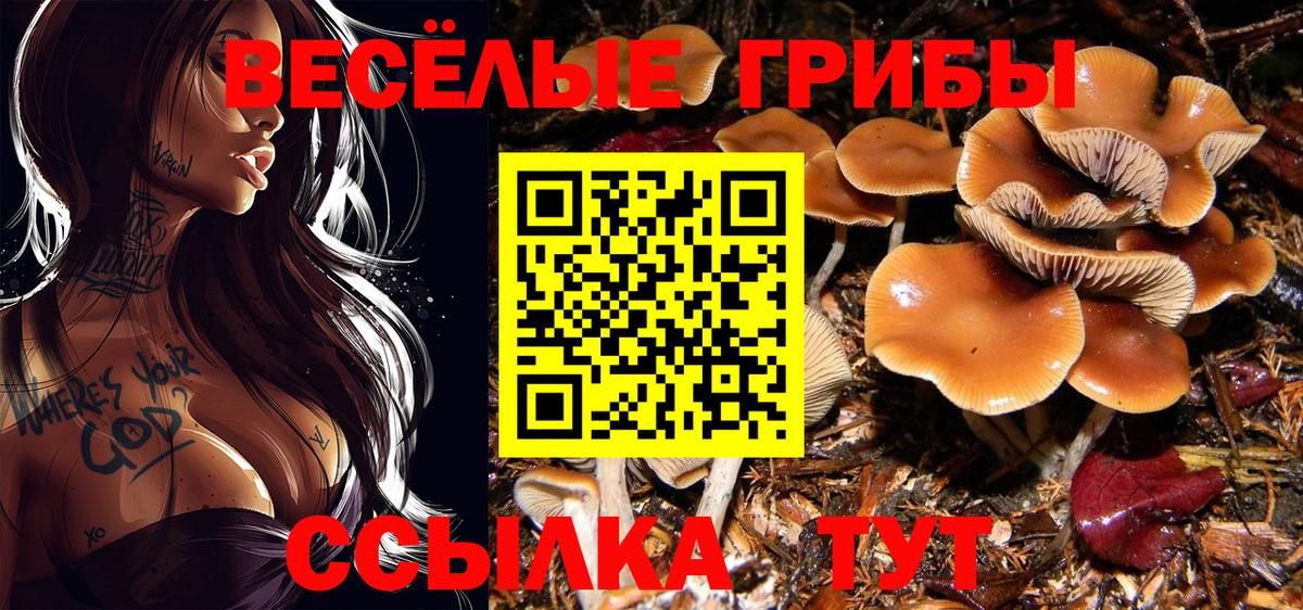 Лосино-Петровский  Псилоцибиновые грибы Psilocybine cubensis  продажа наркотиков  Вход с VPN 